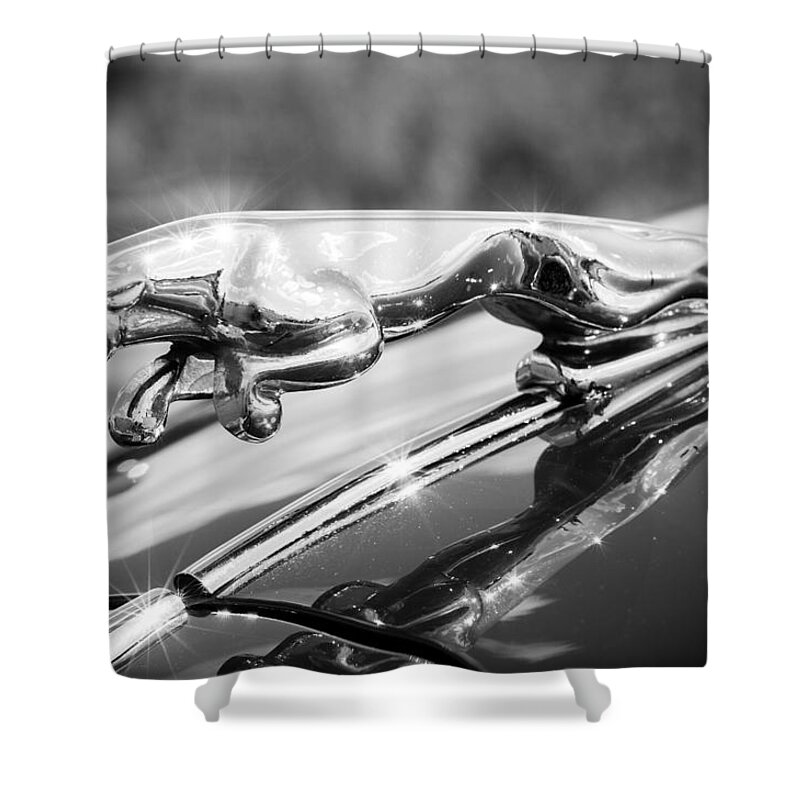 1960 Jaguar Shower Curtain featuring the photograph Leaping Jaguar by Sebastian Musial
