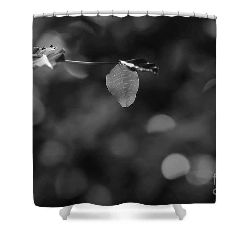 Environment Shower Curtain featuring the photograph Leaves And Light by Dariusz Gudowicz