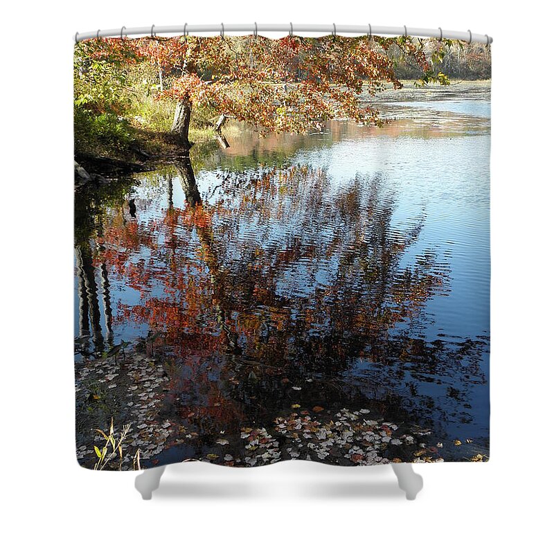 Leaves Shower Curtain featuring the photograph Leaves Of Reflections by Kim Galluzzo Wozniak