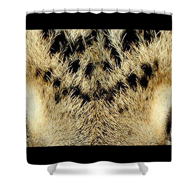 Eyes Shower Curtain featuring the photograph Leopard Eyes by Sumit Mehndiratta