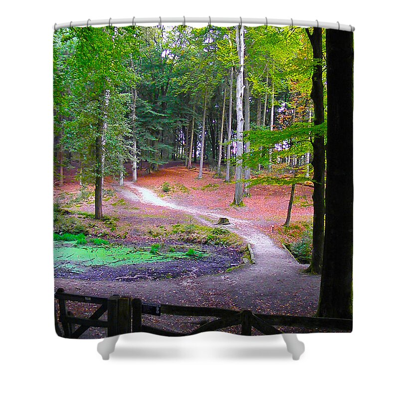 Tree Shower Curtain featuring the photograph Lets take a walk by Go Van Kampen