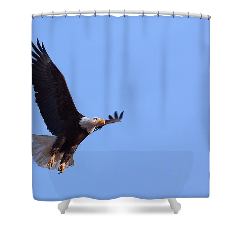 Soaring Shower Curtain featuring the photograph Lift by Jim Garrison
