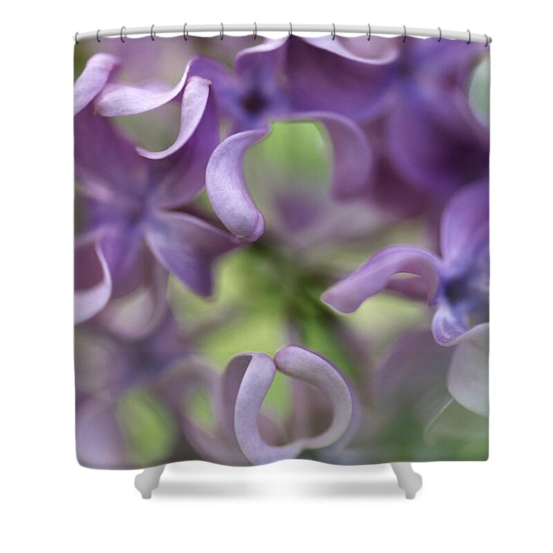 00283563 Shower Curtain featuring the photograph Lilac Flower by Jan Vermeer