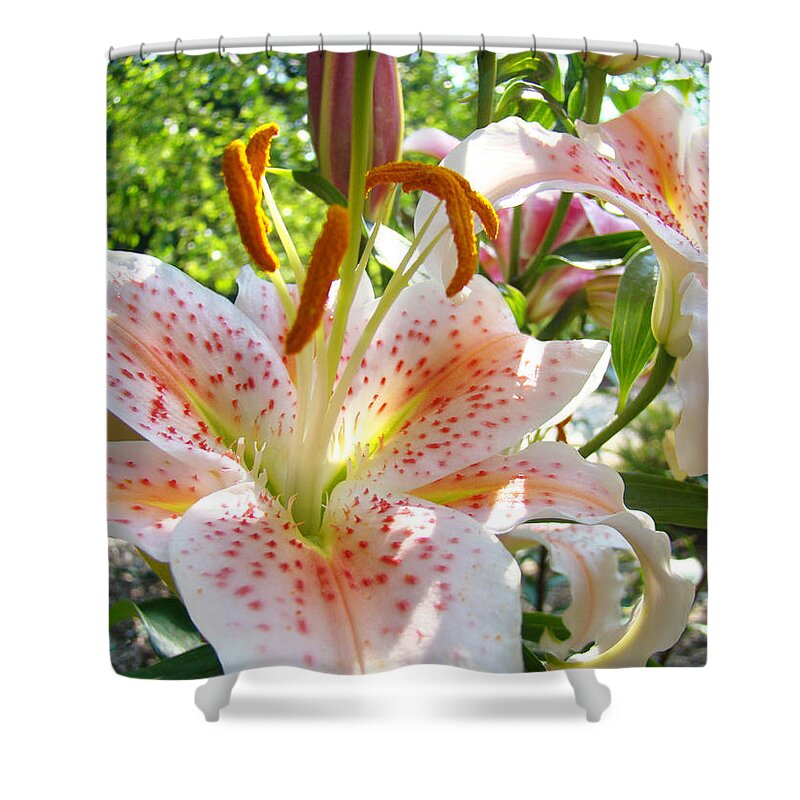 Lily Shower Curtain featuring the photograph Lily Flowers Floral prints Photography Orange Lilies by Patti Baslee