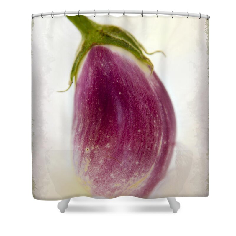 Eggplant Shower Curtain featuring the photograph Little Eggplant by Marilyn Hunt