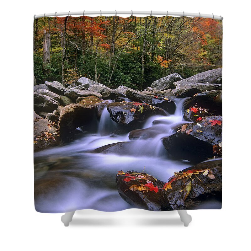 00176692 Shower Curtain featuring the photograph Little Pigeon River Cascading Among by Tim Fitzharris