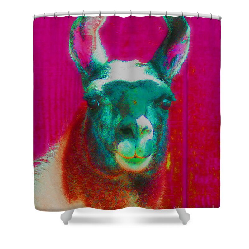 Llama Shower Curtain featuring the photograph Llama Of A Different Color by Smilin Eyes Treasures