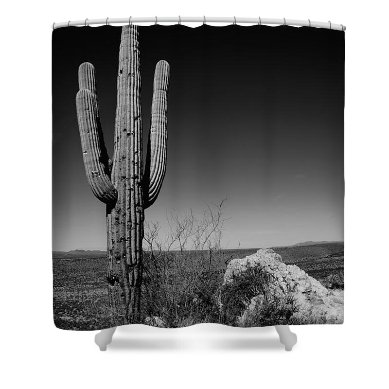 Lone Saguaro Shower Curtain featuring the photograph Lone Saguaro by Chad Dutson
