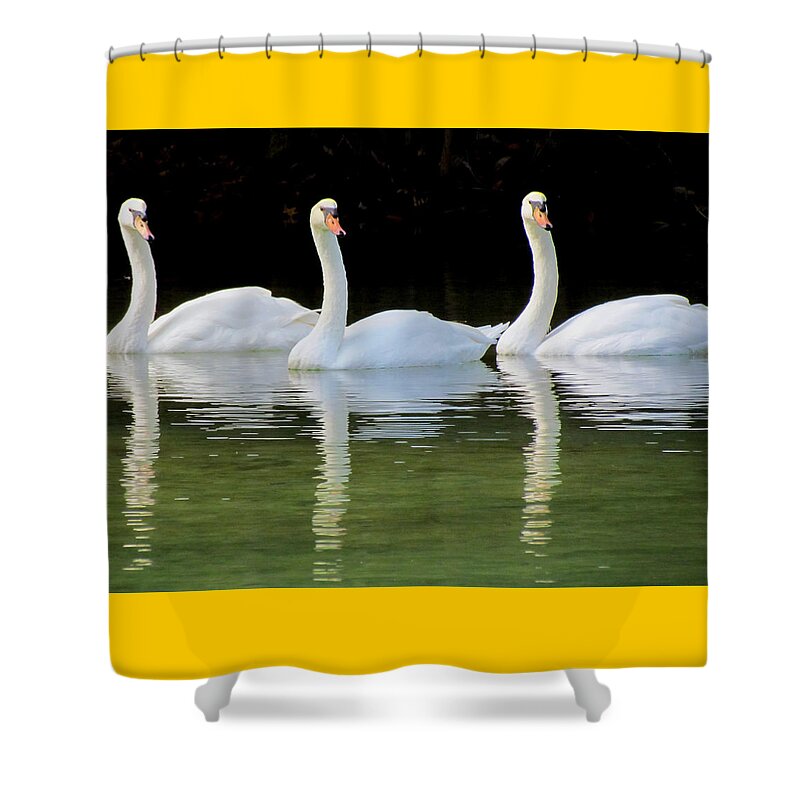 Nature Shower Curtain featuring the photograph Look Over There by Judy Wanamaker