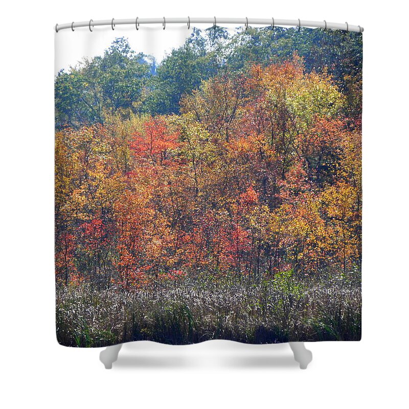 Autumn Shower Curtain featuring the photograph Looks Like A Painting by Kim Galluzzo Wozniak