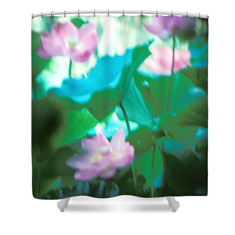 Nature Shower Curtain featuring the photograph Lotus--Ethereal Impressions ii 20A1 by Gerry Gantt
