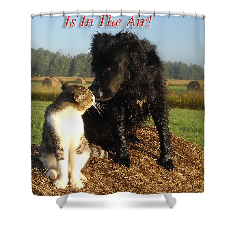 Love Shower Curtain featuring the photograph Love Is In The Air by Kent Lorentzen