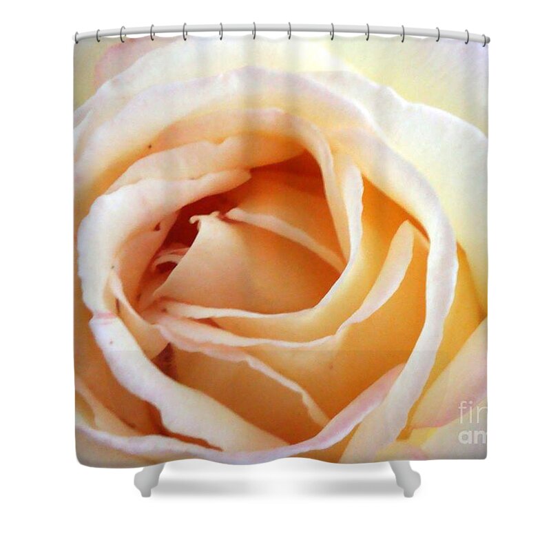 Roses Shower Curtain featuring the photograph Love unfurling by Vonda Lawson-Rosa