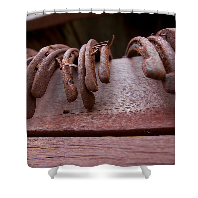 Horseshoes Shower Curtain featuring the photograph Lucky Day by Ed Boudreau