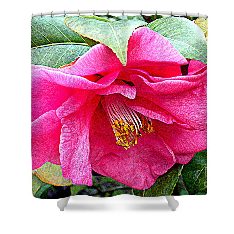 Pink Flowers Shower Curtain featuring the photograph Luscious Pink HDR by Kathy White