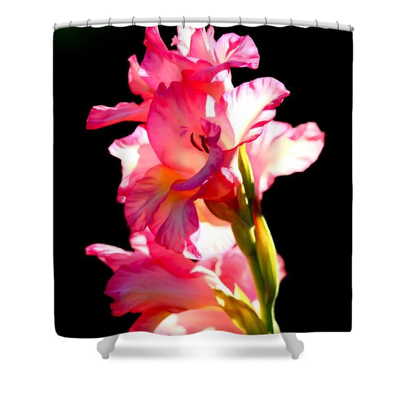 Galadiolus Shower Curtain featuring the photograph Majestic Gladiolus by Patrick Witz