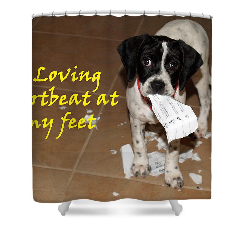 English Pointer Shower Curtain featuring the photograph Mancha - A Loving Heartbeat by Bob Johnson