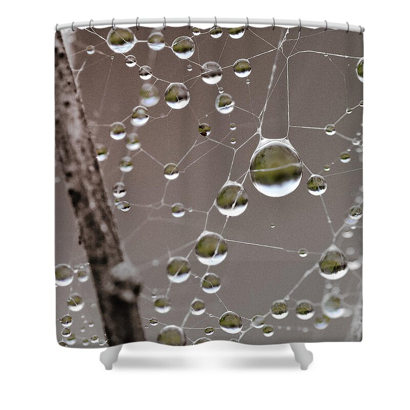 Abstract Shower Curtain featuring the photograph Many Worlds In One Small Space by Sue Capuano