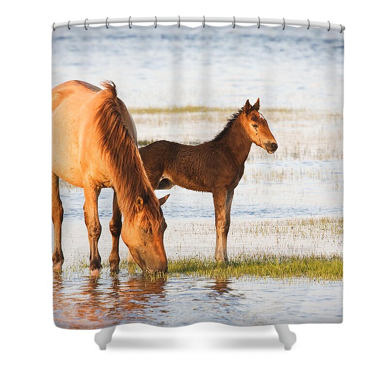 Wild Shower Curtain featuring the photograph Mare and Foal by Bob Decker