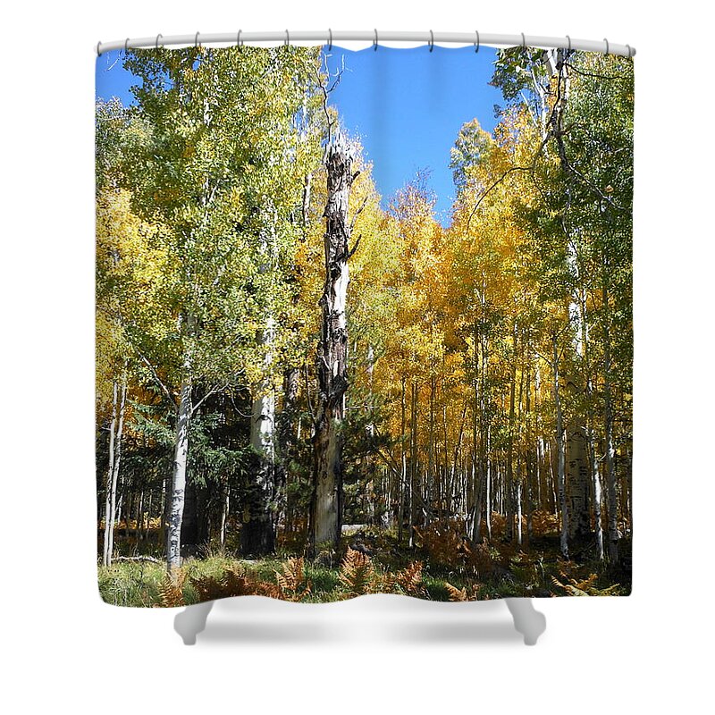 Autumn Shower Curtain featuring the photograph Marker Tree by Fred Wilson