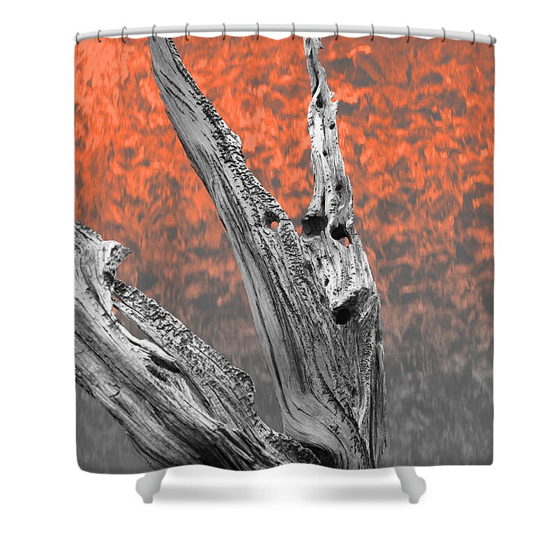 Tree Shower Curtain featuring the photograph Melting Ghosts by Mark Ross