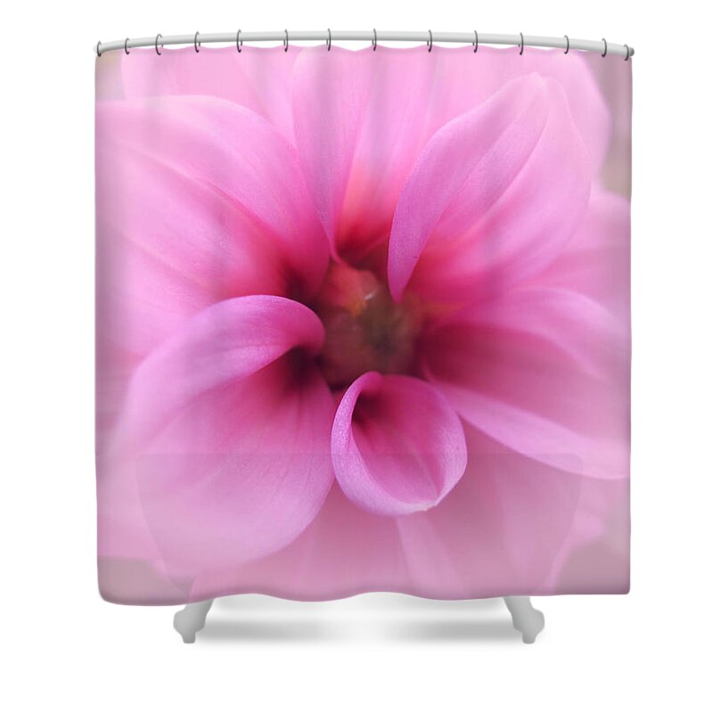 Memories In The Mist Shower Curtain featuring the photograph Memories in the Mist by Rachel Cohen