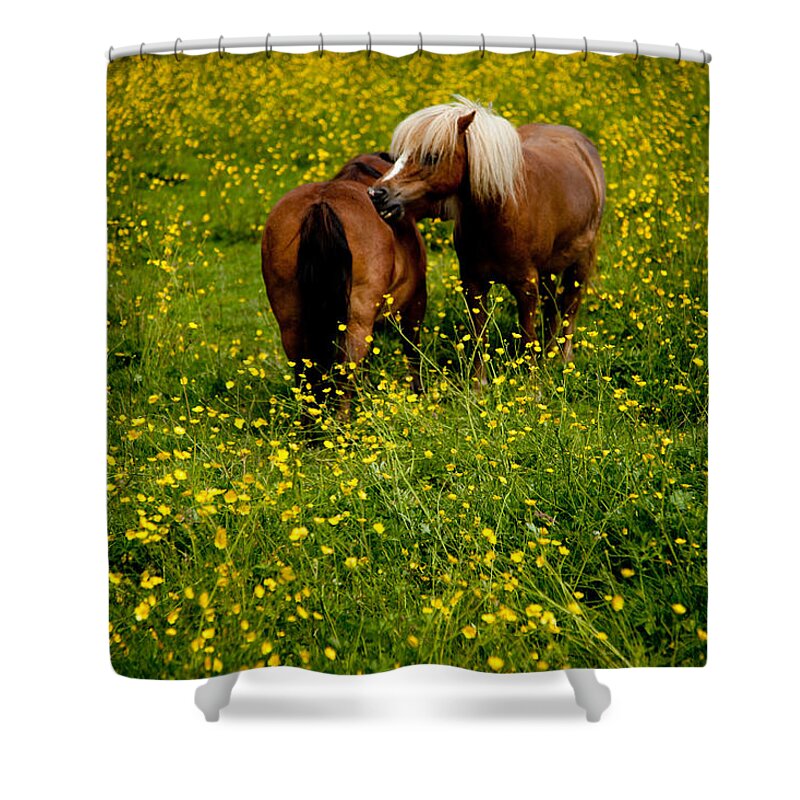 Miniature Shower Curtain featuring the photograph Mini 5 by Monte Arnold