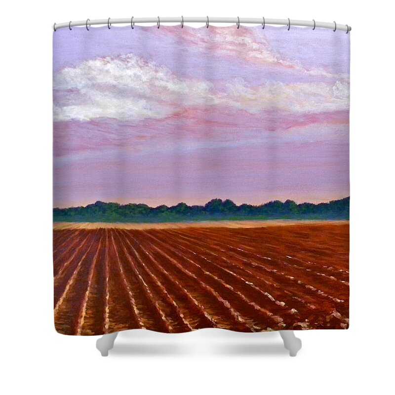 Landscape Shower Curtain featuring the painting Mississippi Land and Sky by Jeanette Jarmon