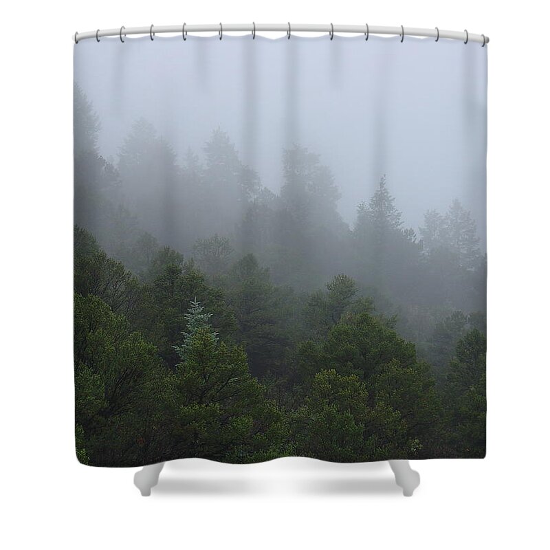 Mountain Shower Curtain featuring the photograph Misty Mountain Morning by Charles and Melisa Morrison