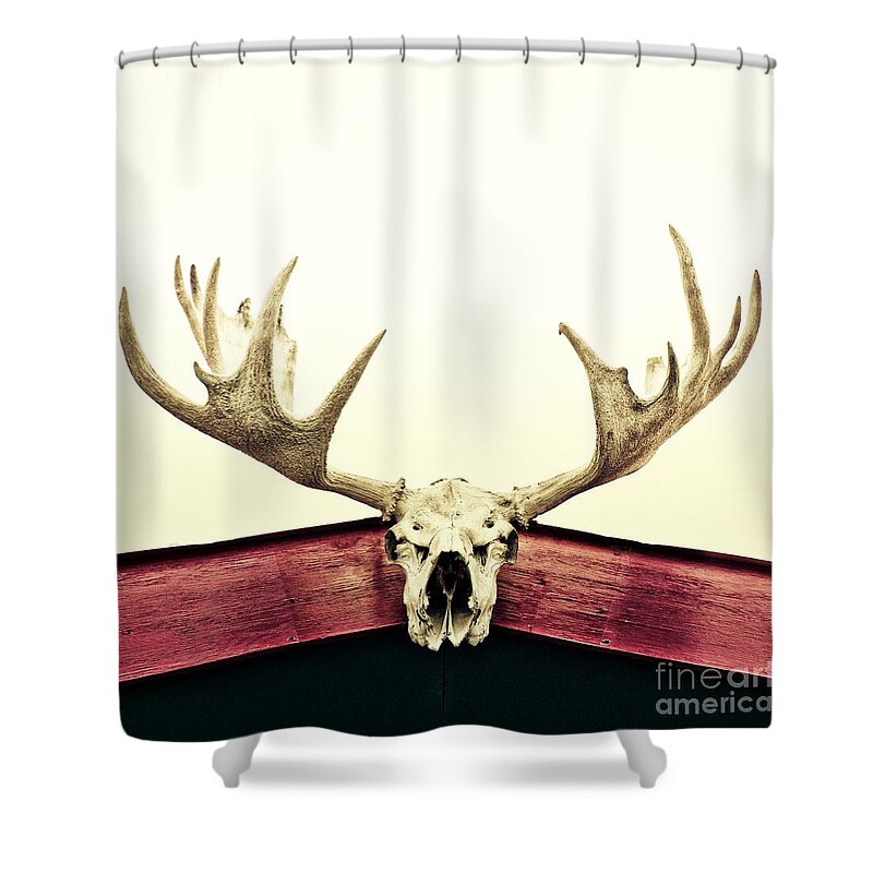 Hunting Trophies Shower Curtains