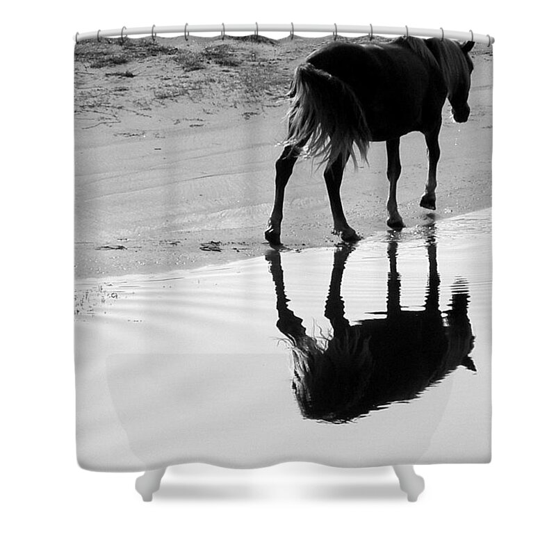 Wild Shower Curtain featuring the photograph Morning Stroll by Kim Galluzzo Wozniak