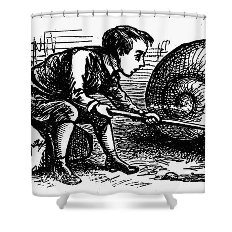 19th Century Shower Curtain featuring the photograph Mother Goose: Snail by Granger