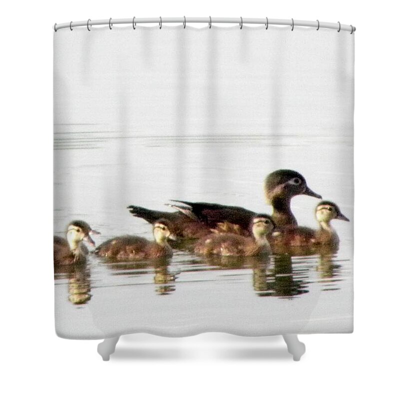 Woodduck Shower Curtain featuring the photograph Motherly Love by Kim Galluzzo