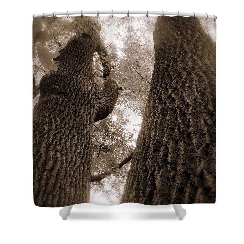 Mr And Mrs Oak Land Shower Curtain featuring the photograph Mr And Mrs Oak Land by Edward Smith