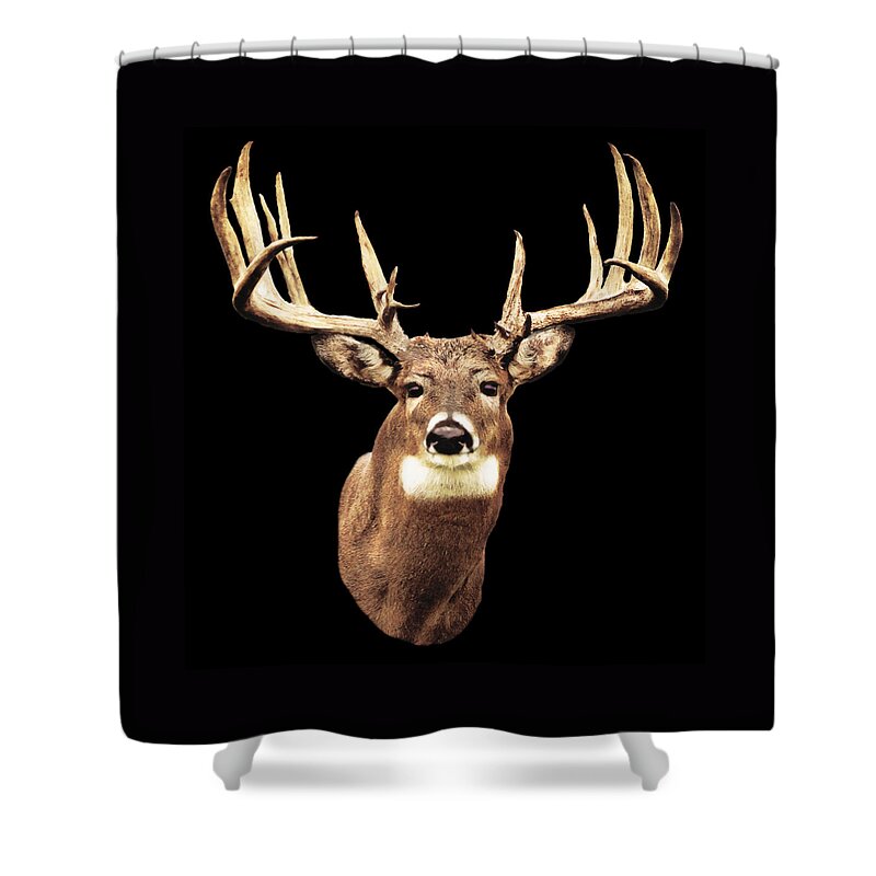 Deer Shower Curtain featuring the digital art Mule Deer Head by Walter Colvin