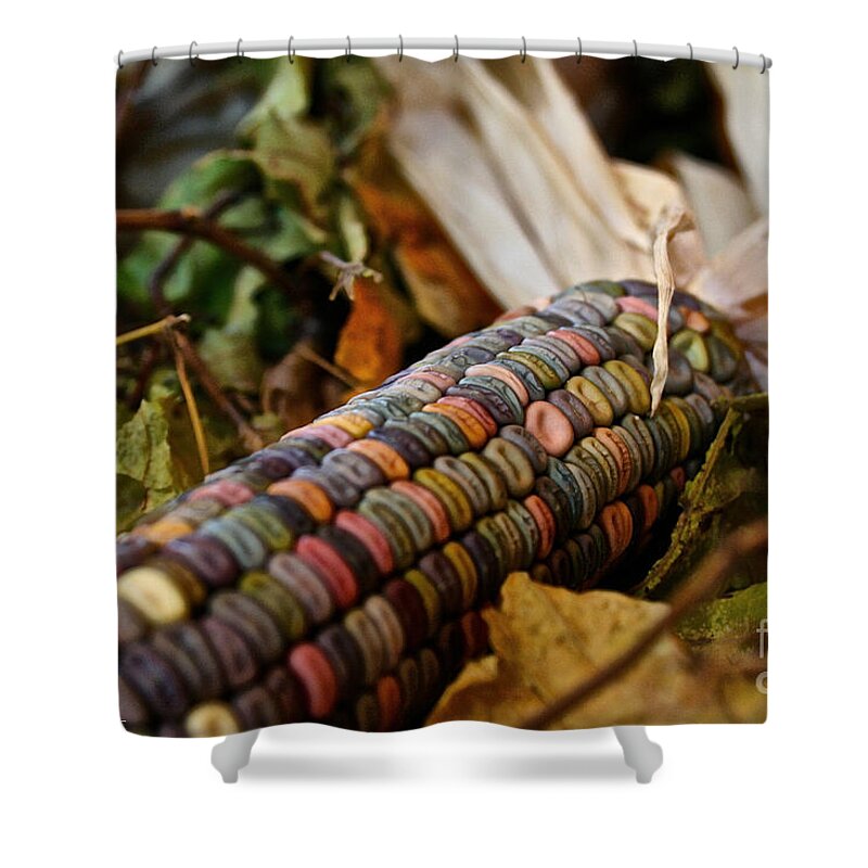 Outdoors Shower Curtain featuring the photograph Multi Colors by Susan Herber