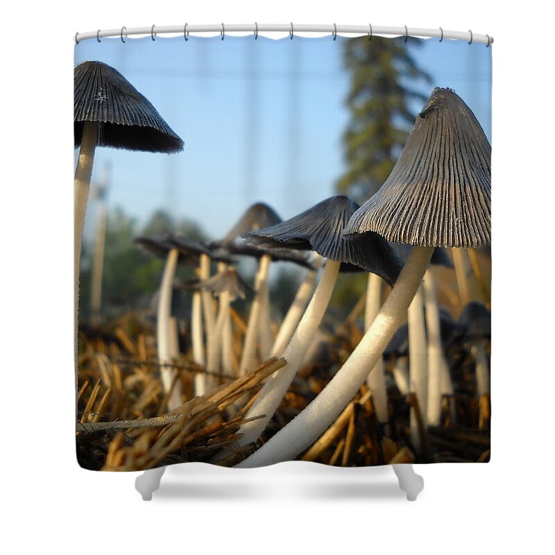 Mushroom Shower Curtain featuring the photograph Mushroom Leaning to the Right by Kent Lorentzen