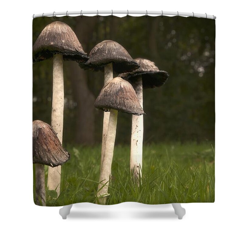 Mushrooms With Tall Stems Growing In Shower Curtain by John Short - Fine  Art America