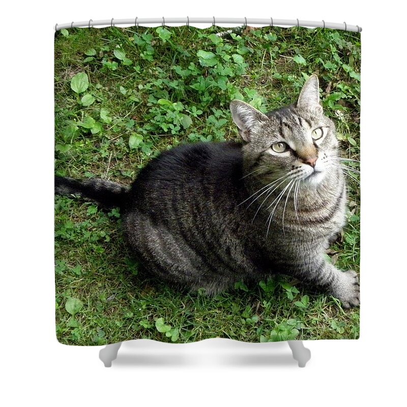 Male Shower Curtain featuring the photograph my Cisco by Kim Galluzzo