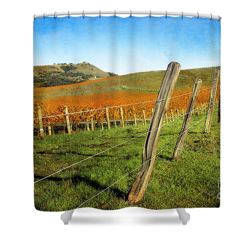 Landscape Shower Curtain featuring the photograph Napa Valley in Autumn by Ellen Cotton