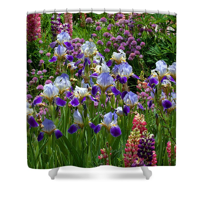 Flowers Photograph; Lupine Canvas Print Shower Curtain featuring the photograph Natures Bouquet by Jim Garrison