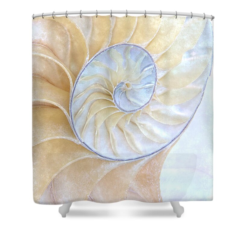 Nautilus Shower Curtain featuring the photograph Nautilus Frost by Ann Garrett