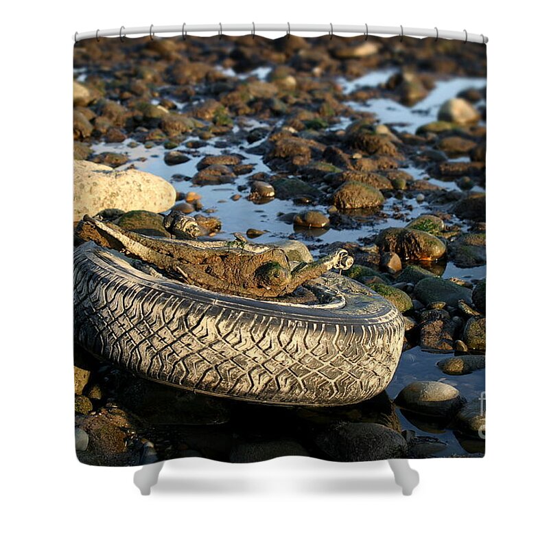 Ventura Shower Curtain featuring the photograph Need A Tire by Henrik Lehnerer