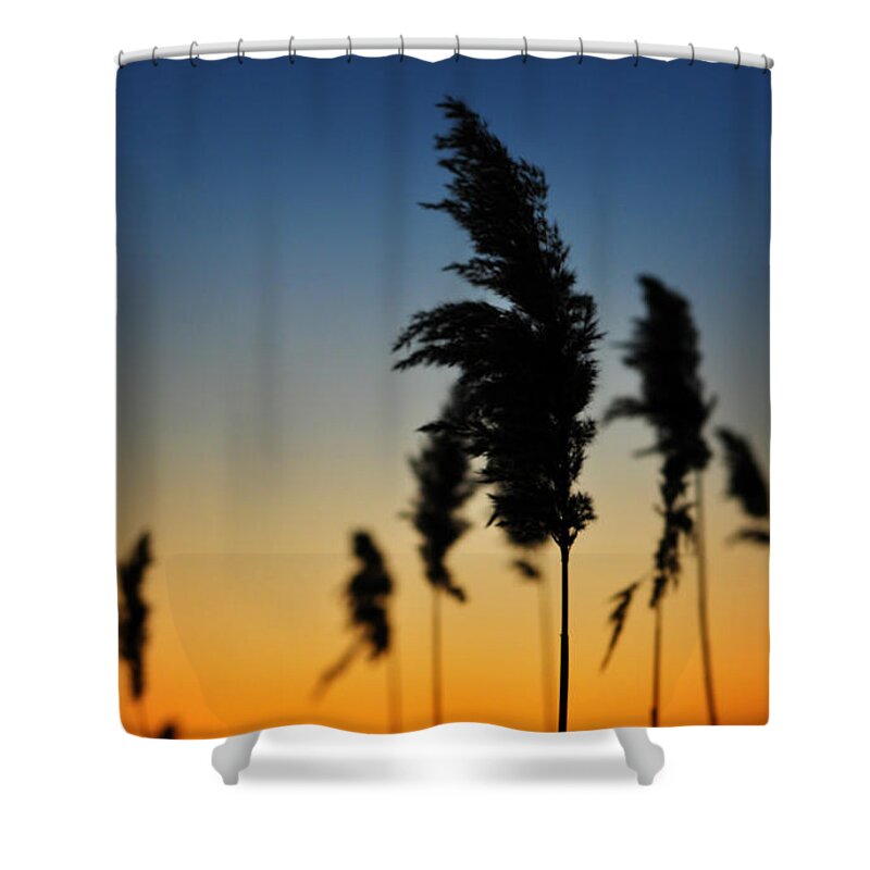 Sunrise Shower Curtain featuring the photograph New Day by Rebecca Sherman