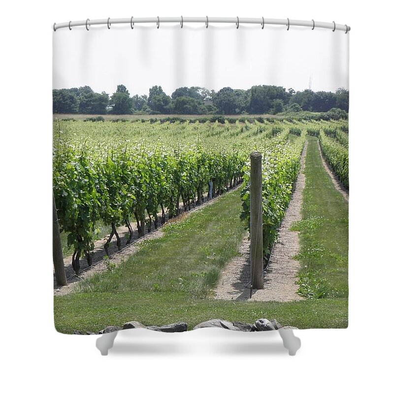Vineyards Shower Curtain featuring the photograph Newport Vineyards by Kim Galluzzo Wozniak