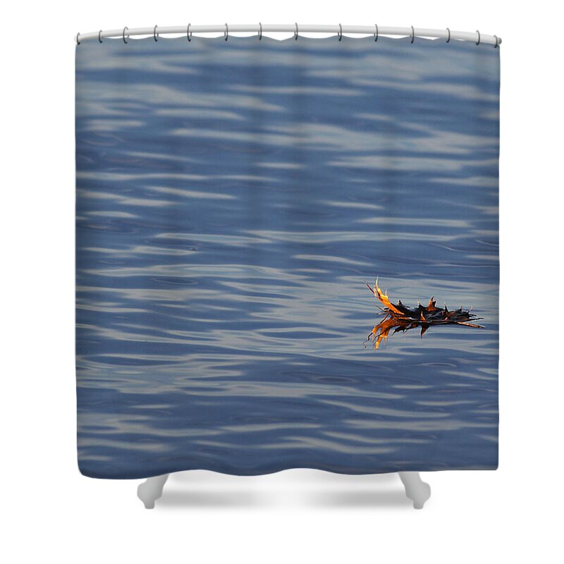 Water Shower Curtain featuring the photograph Oak Leaf Floating by Daniel Reed