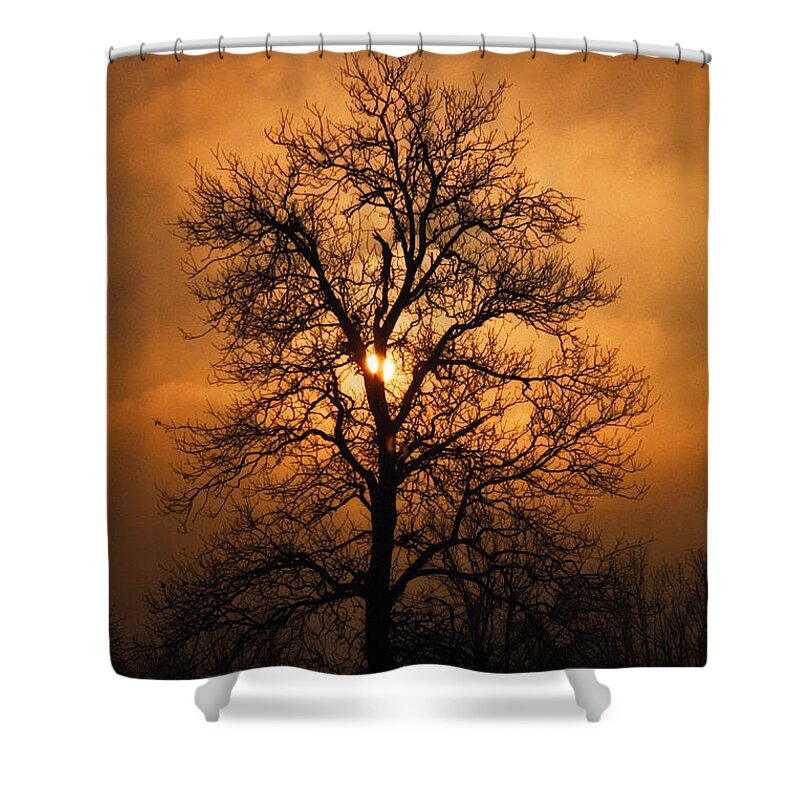 Art Shower Curtain featuring the photograph Oak Tree Sunburst by Michael Dougherty