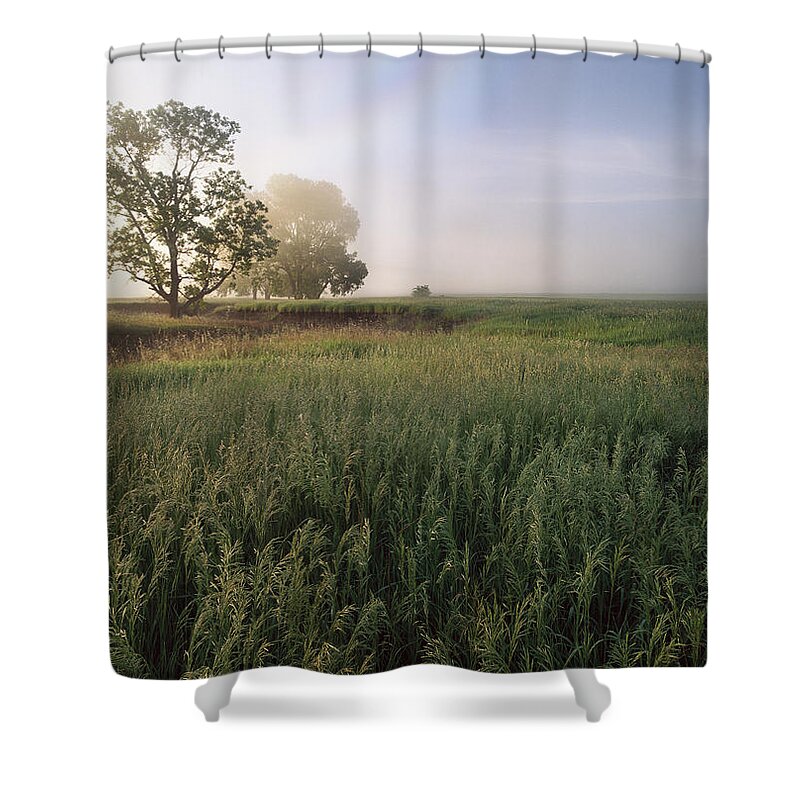 00174550 Shower Curtain featuring the photograph Oak Trees Shrouded In Fog Tallgrass by Tim Fitzharris