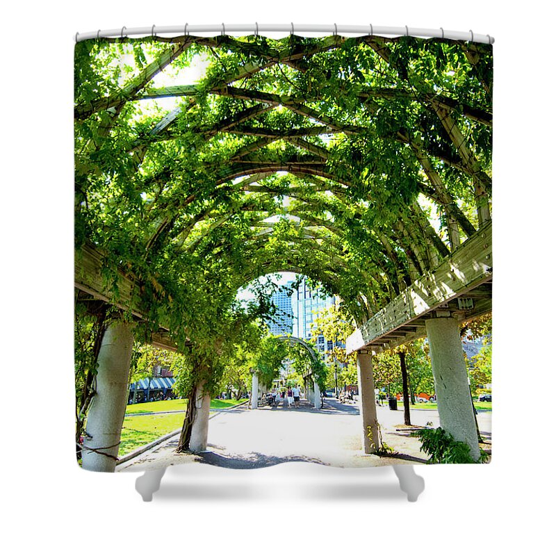 Art Shower Curtain featuring the photograph Oasis by Greg Fortier