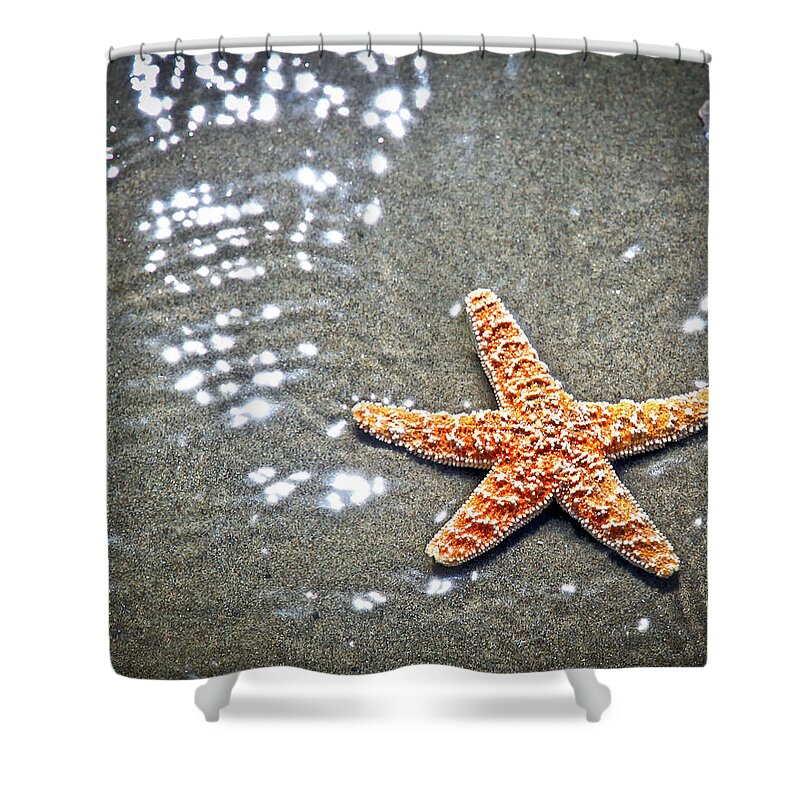 Star Fish Shower Curtain featuring the photograph Ocean Star by Steve McKinzie